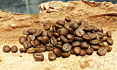 サイト-商品一覧